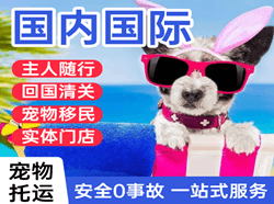 地窝堡机场快递国际宠物托运 【国